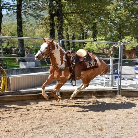 Holiday Home With Swimming Pool, Donkeys And Horses Vrlika Exterior foto