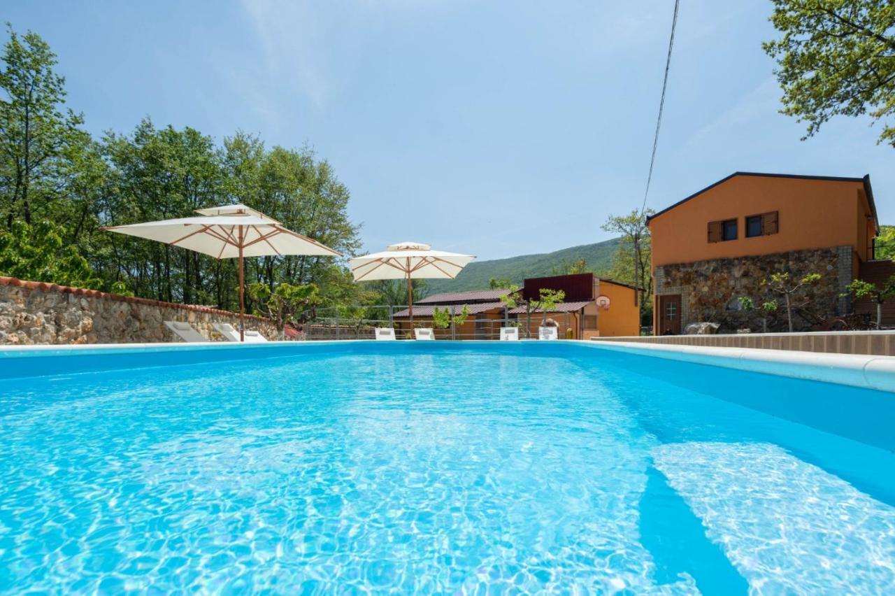 Holiday Home With Swimming Pool, Donkeys And Horses Vrlika Exterior foto