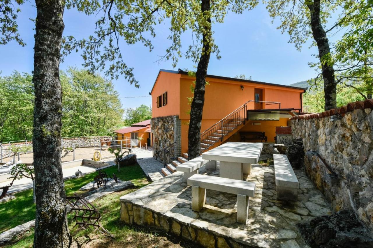 Holiday Home With Swimming Pool, Donkeys And Horses Vrlika Exterior foto